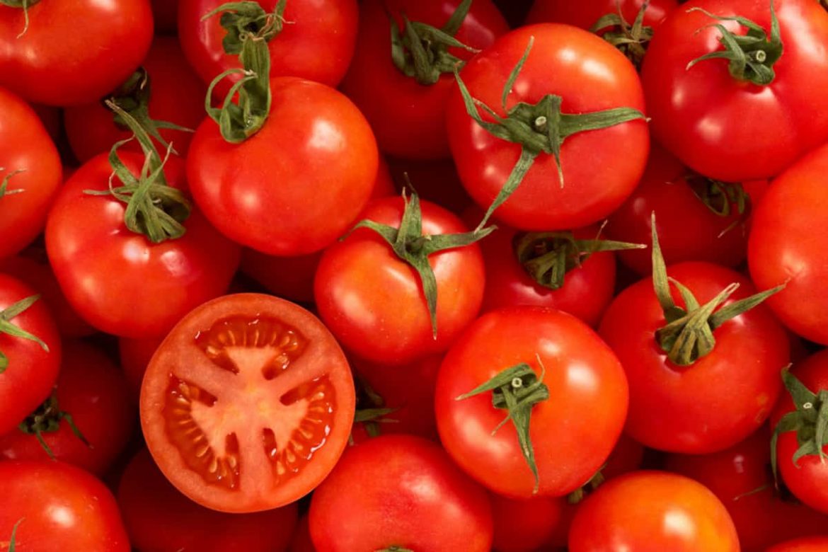 Roma tomatoes cold storage