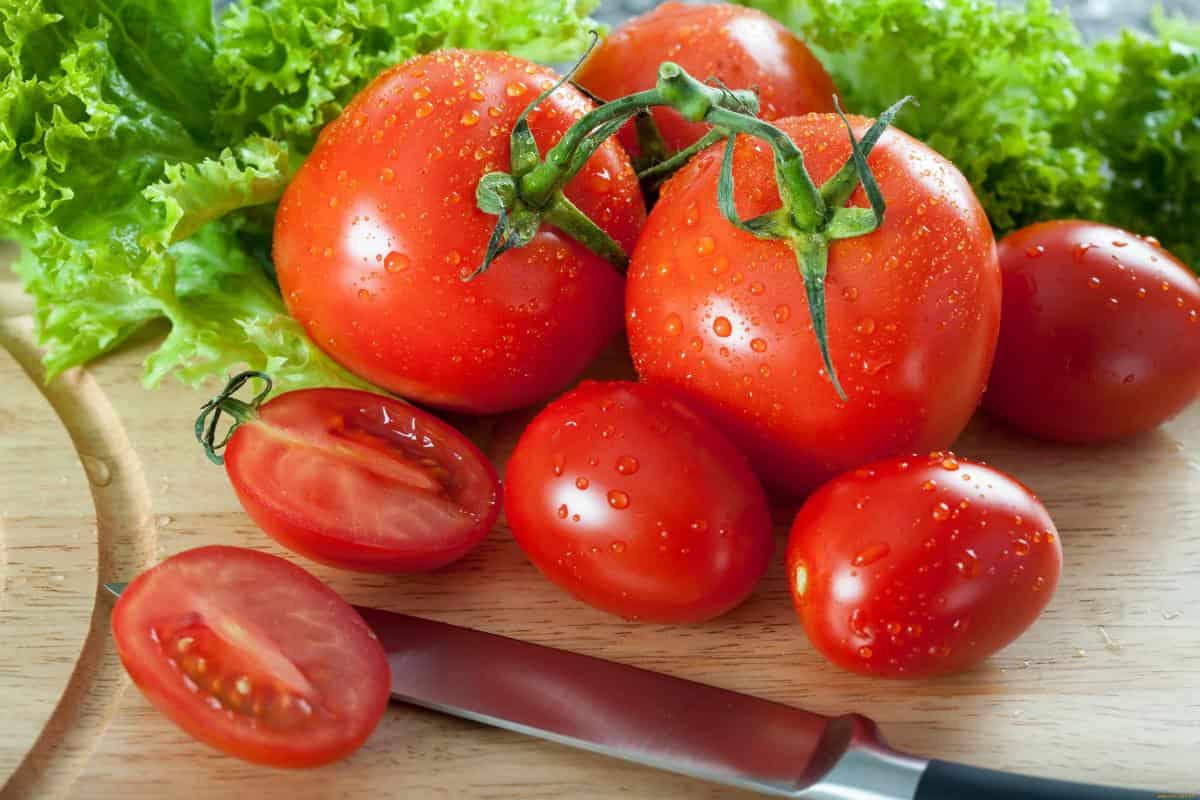  Fresh tomatoes good for bloating 