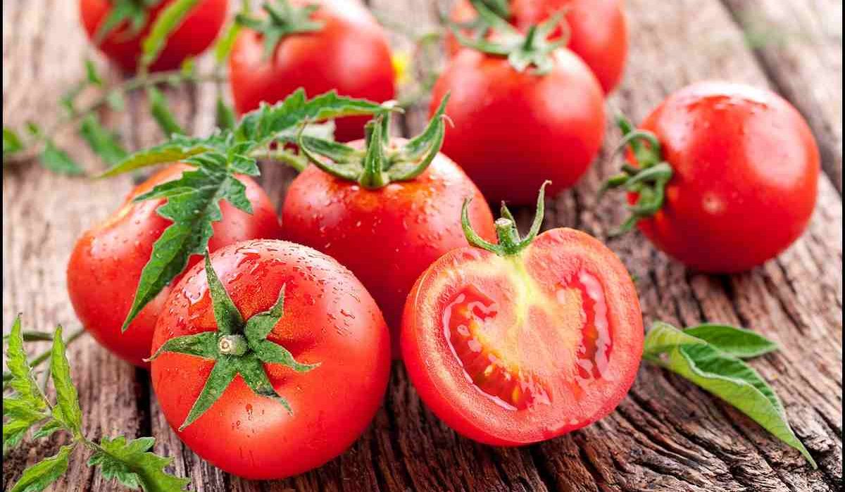  Tomato good for acne treatment 