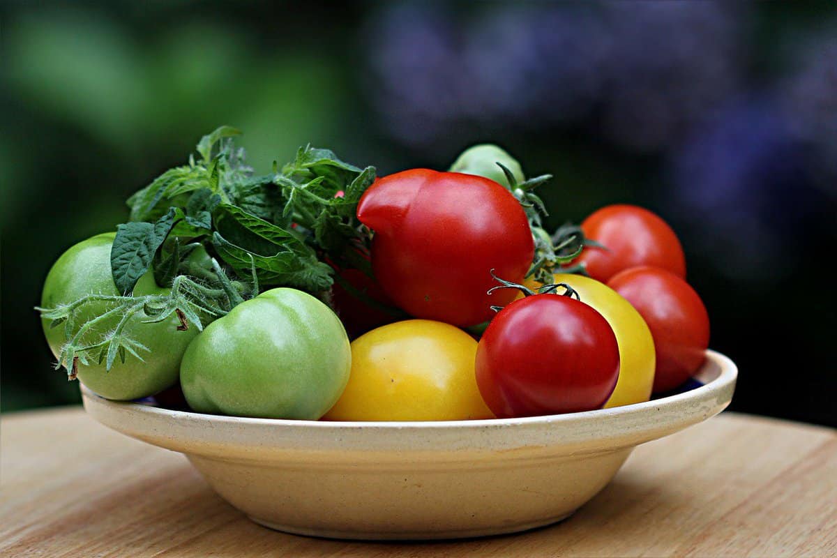  Green tomatoes taste + benefits 