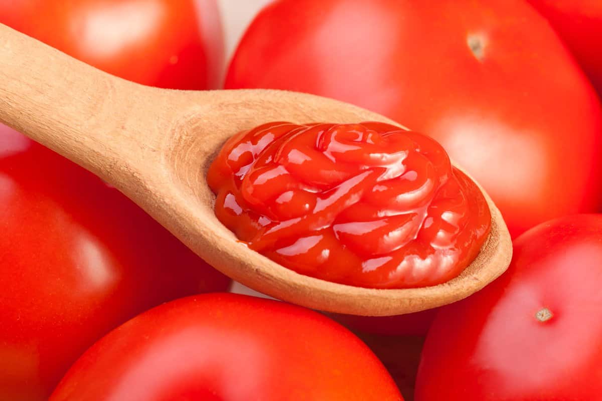  Tomato Ketchup Wholesale Price 