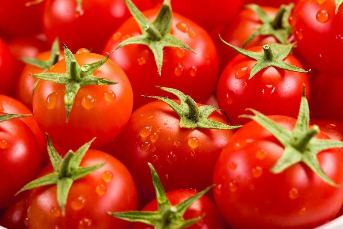 are tomatoes good for fertility