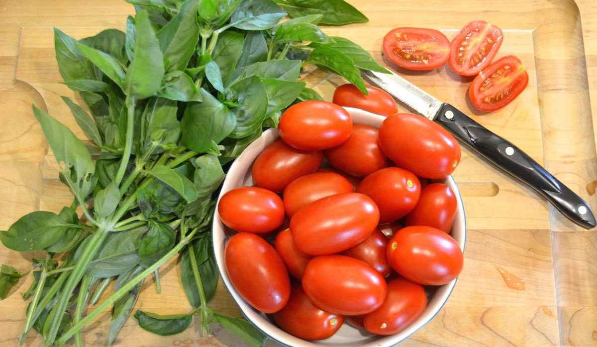  Price and purchase of Low Moisture Roma Tomato + Cheap sale 