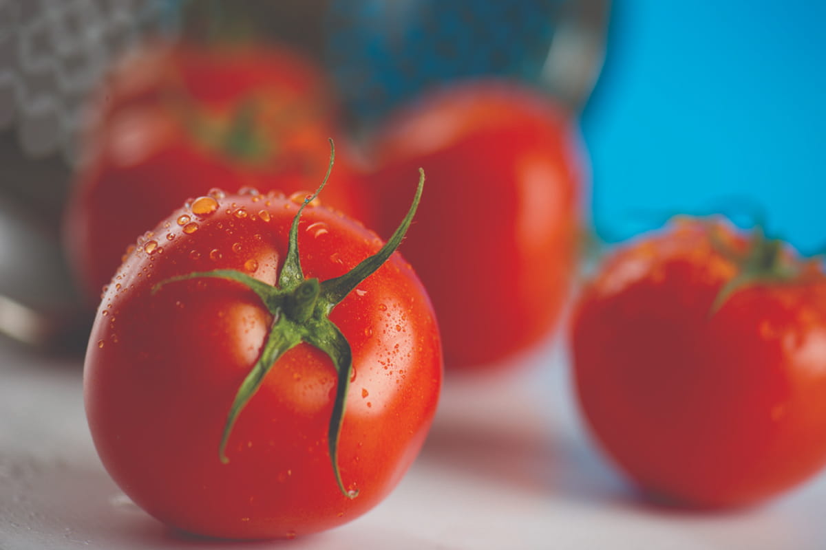  Fresh Tomatoes Per Pound; Antioxidant Properties Supporting Muscle Growth 