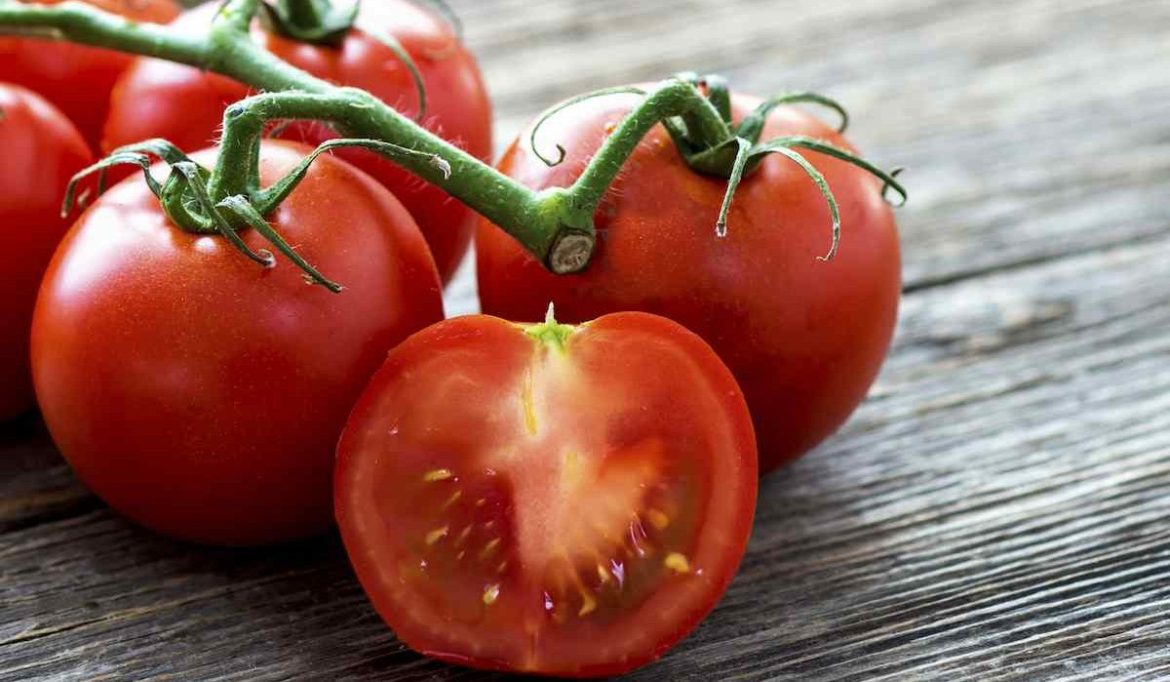 The best price for buying Tomato crop in USA