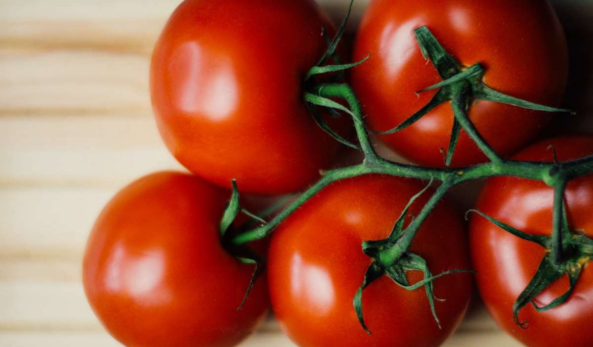  The best price for buying Tomato crop in USA 