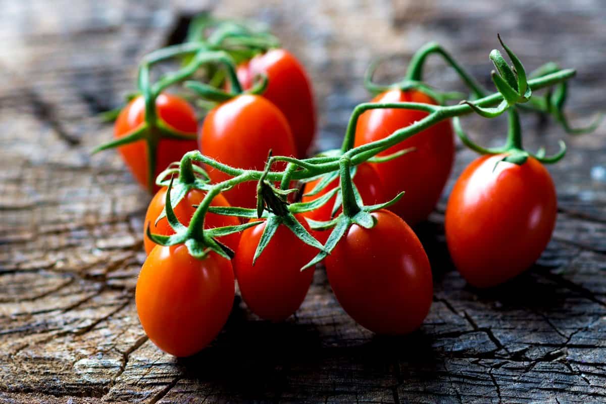  Today Tomato in Chennai Koyambedu (Solanum Lycopersicum) Iron Zinc Calcium Content Vitamin C A 