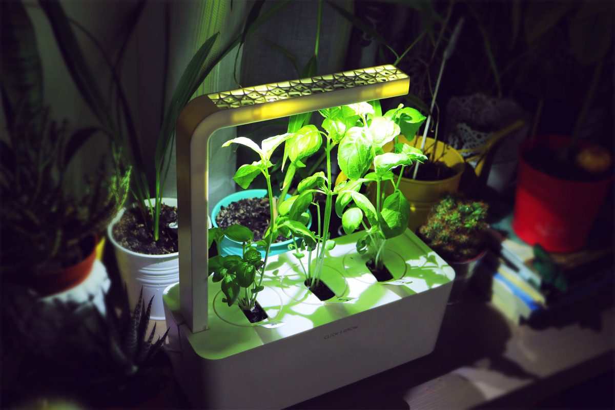  Will tomatoes ripen under grow lights+ purchase price 