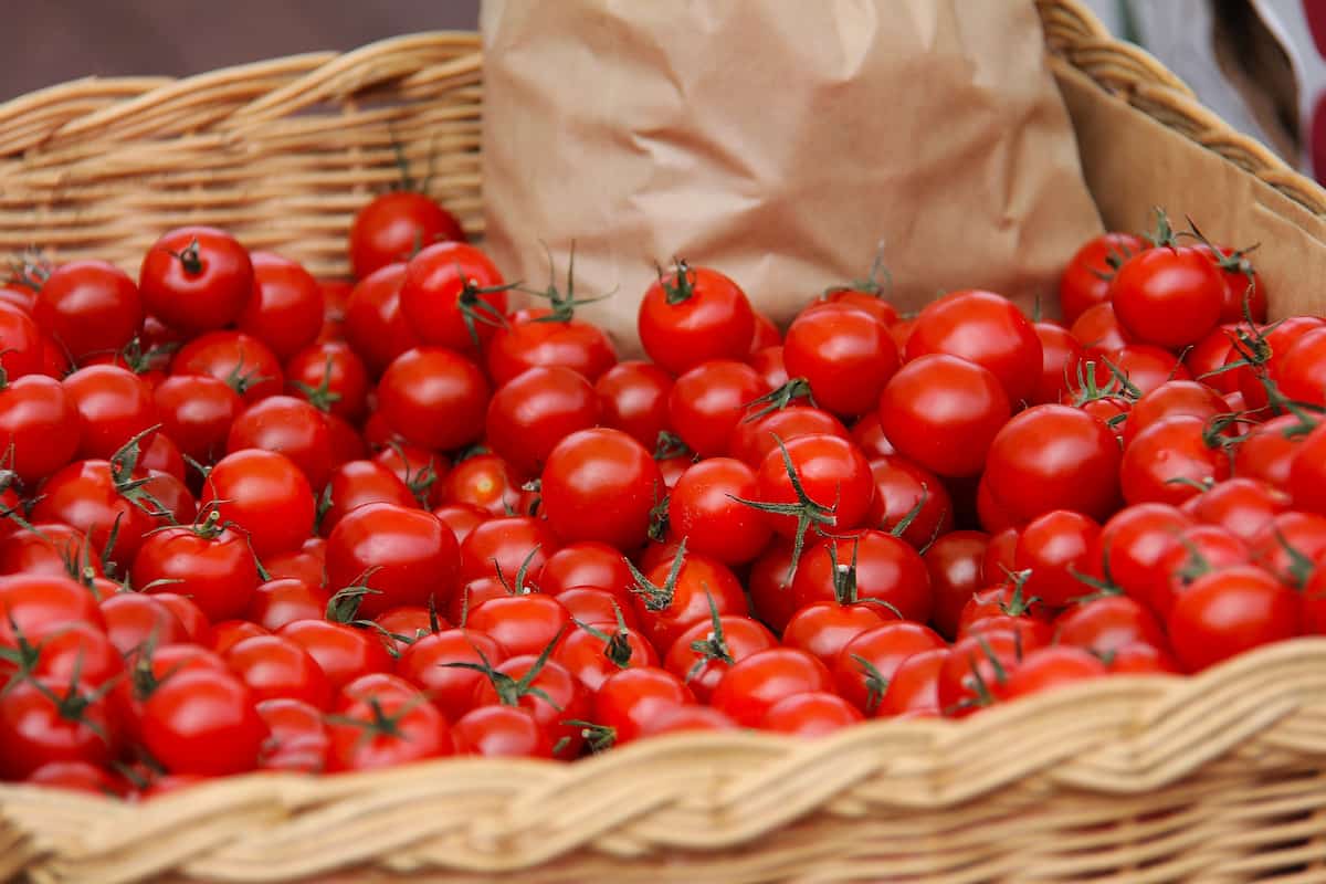  cherry tomato market price+ size 