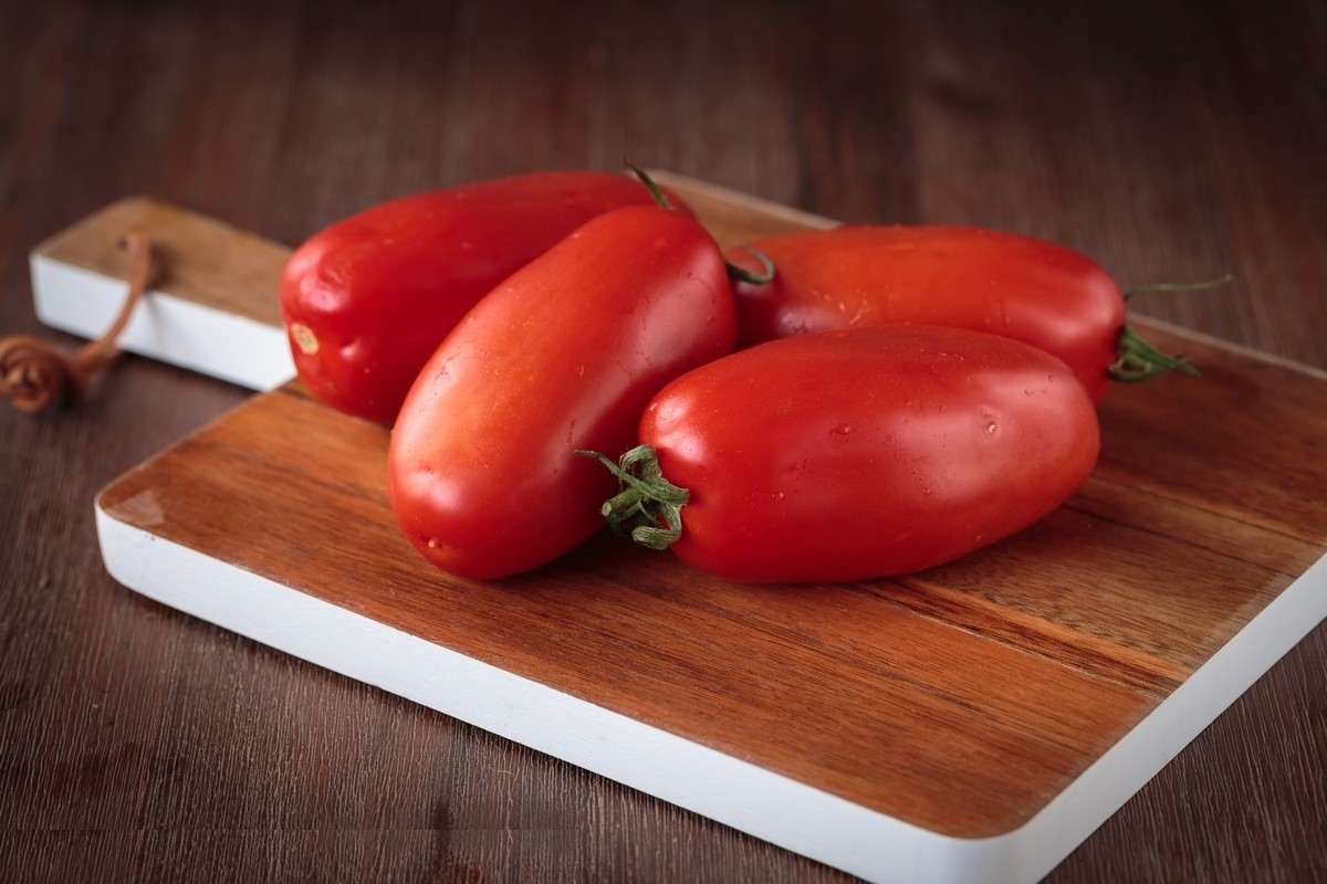  The Best Price for Buying San Marzano tomatoes 