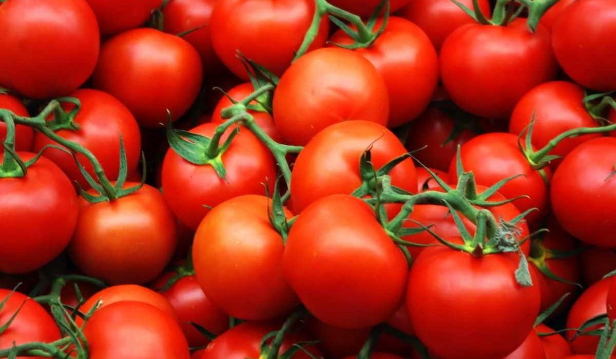  Tomatoes good for treatment burns 