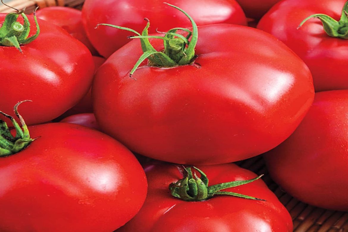 1 Kg Tomato in Pakistan Today 2023; Vitamin Source 4 Types Roman Cherry Grape Pearl