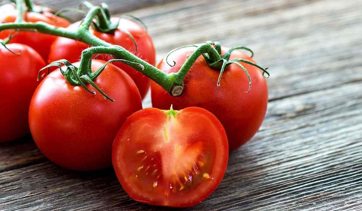  Roma Tomatoes purchase price + excellent sale 