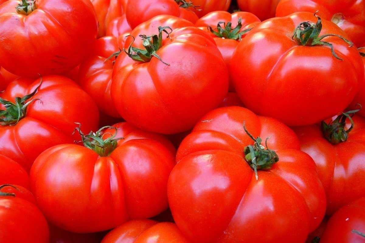  Best tomato good for face + Great Purchase Price 