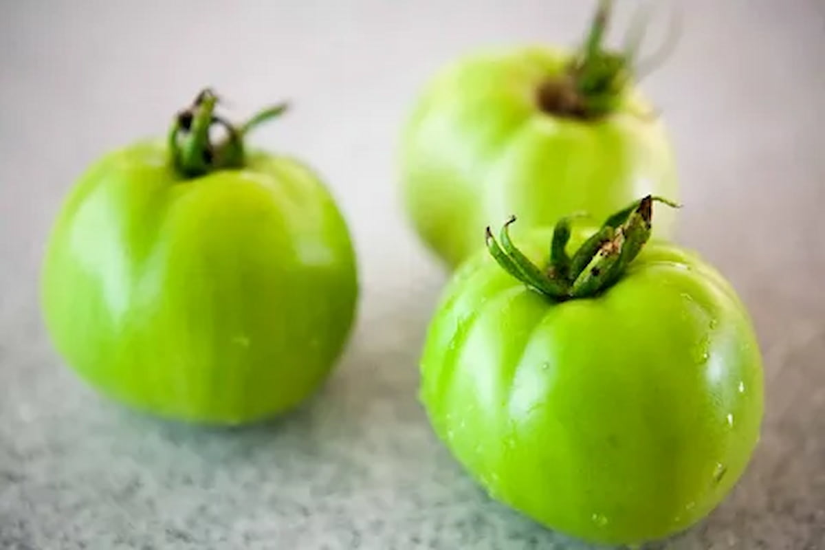  green tomatoes for sale online 