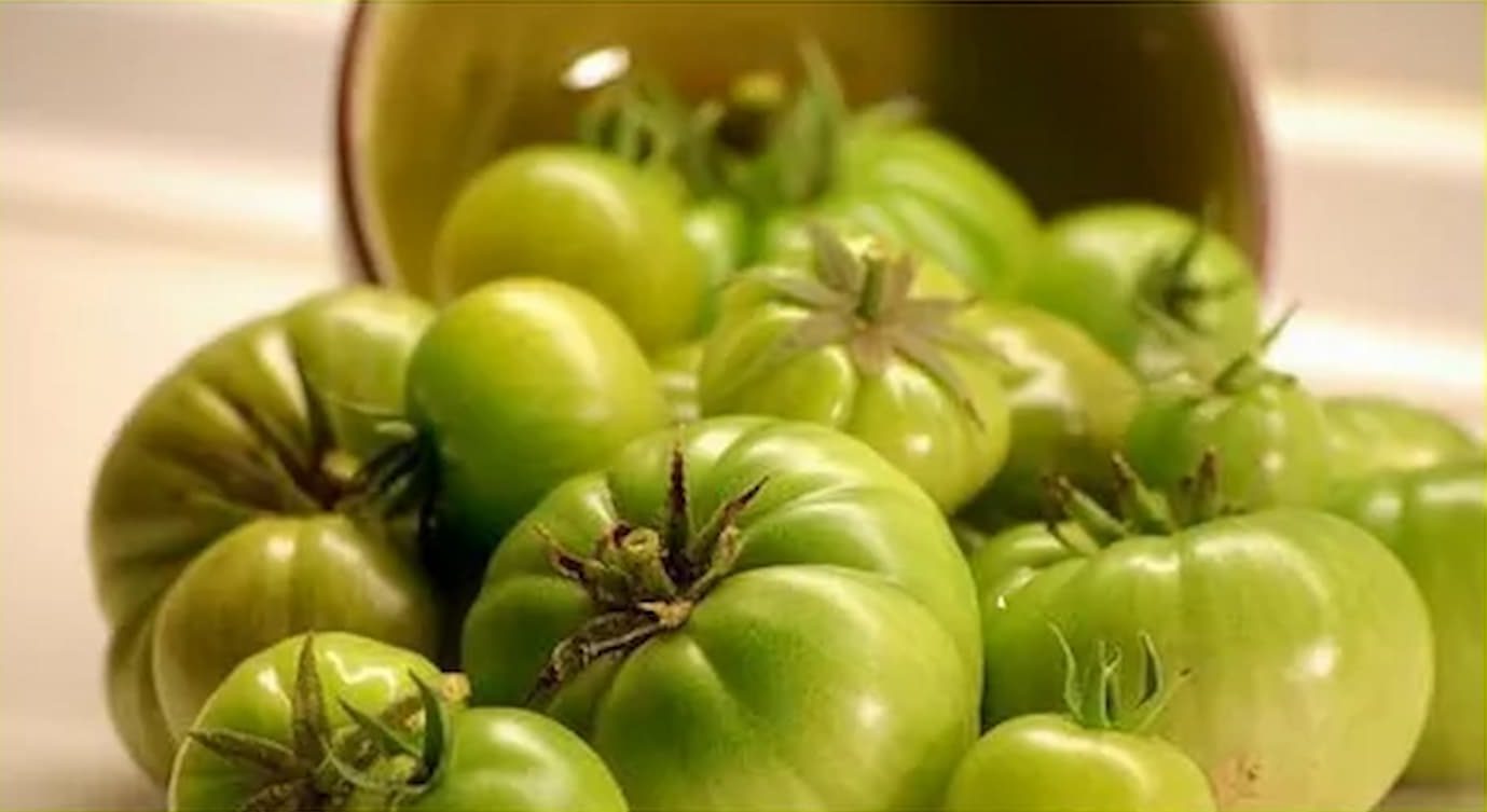  green tomatoes for sale online 