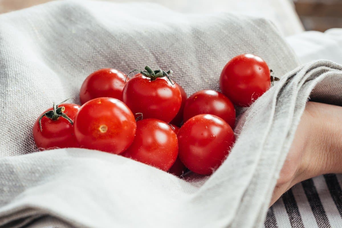  Cherry Tomato in Sri Lanka; Lycopene Carotenoids Flavonoids Source Small Bright Red 