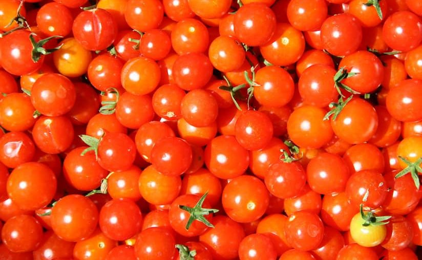  Buy fresh grape tomatoes types + price 