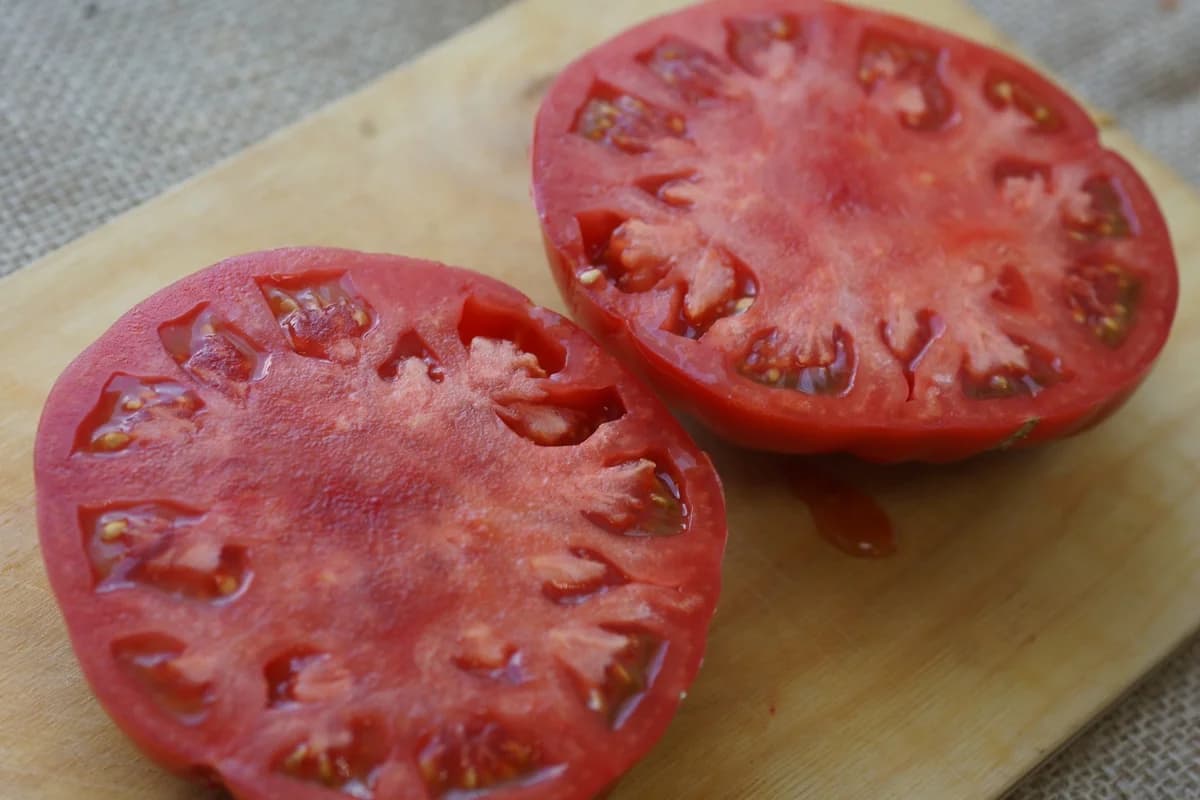  Supply beefsteak tomato plants for sale 
