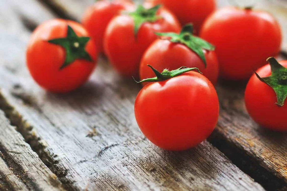 Getting to know roma tomato + the exceptional price of buying roma tomato