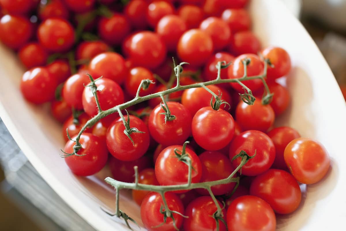  Introducing red grape tomatoes + the best purchase price 