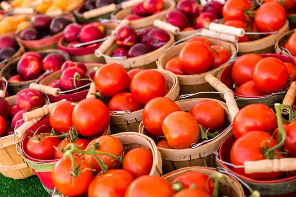  greenhouse tomato Purchase Price + Photo 