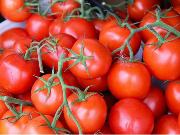  greenhouse tomato Purchase Price + Photo 