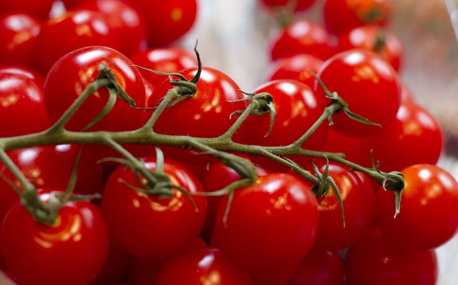  cherry grape tomato | Sellers at reasonable prices cherry grape tomato 