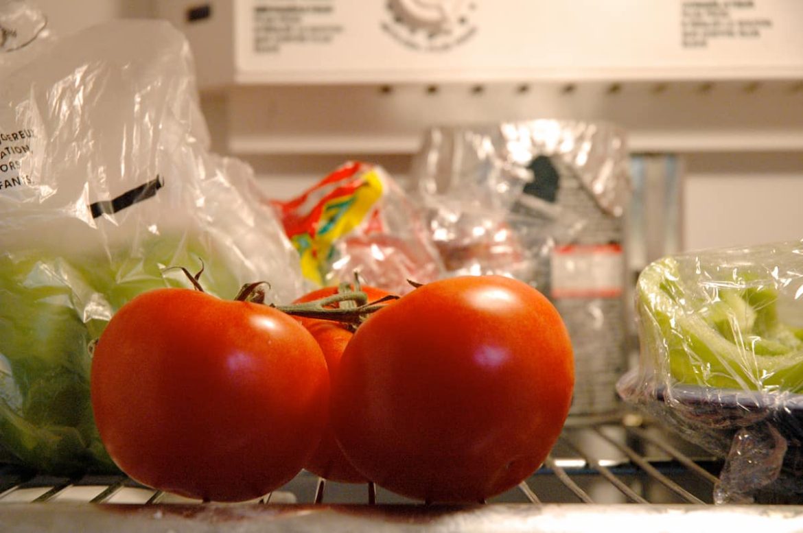 fridge tomato price + wholesale and cheap packing specifications