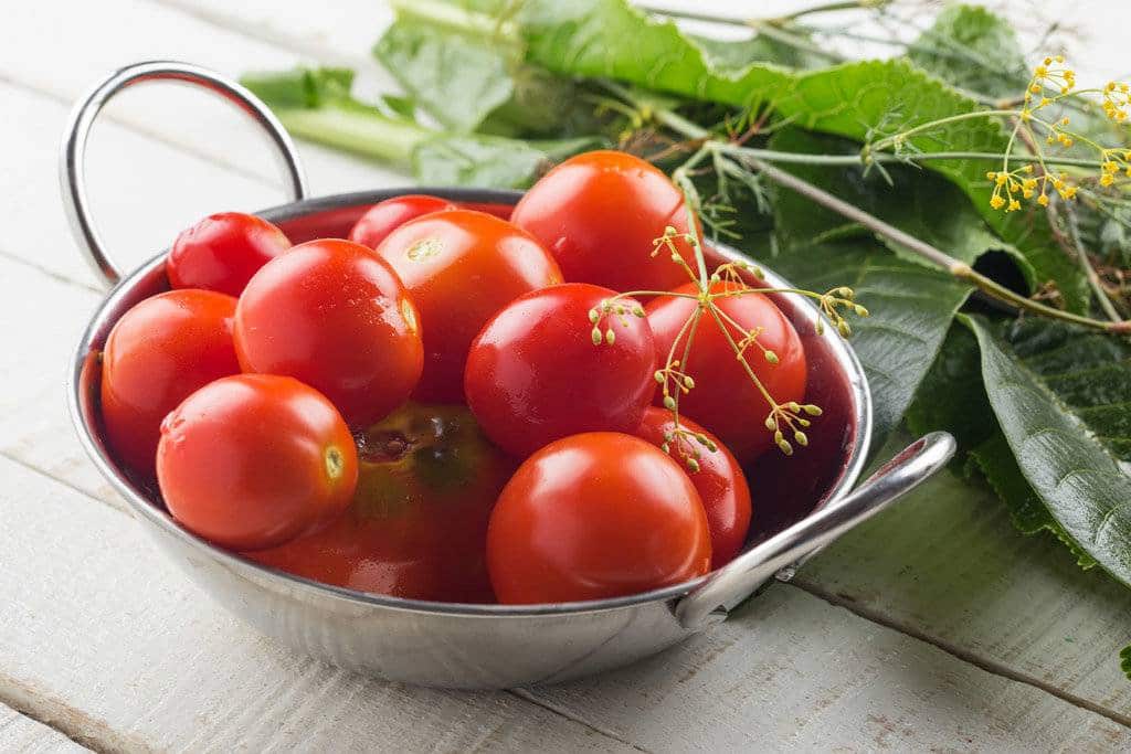  fridge tomato price + wholesale and cheap packing specifications 