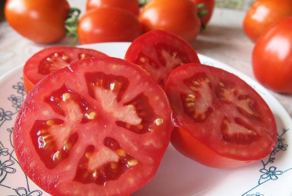  fridge tomato price + wholesale and cheap packing specifications 