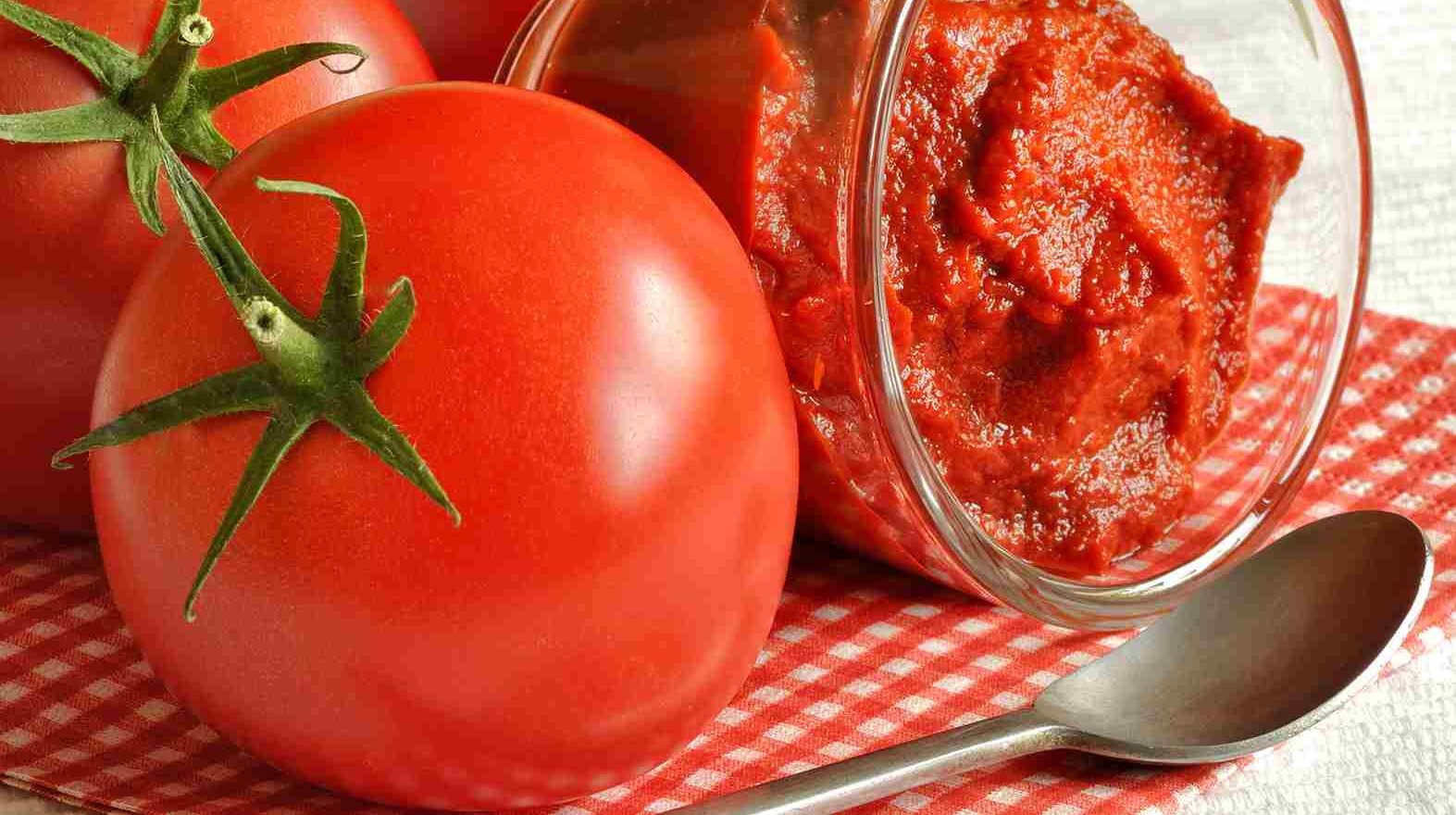  Getting to know freeze tomato + the exceptional price of buying freeze tomato 