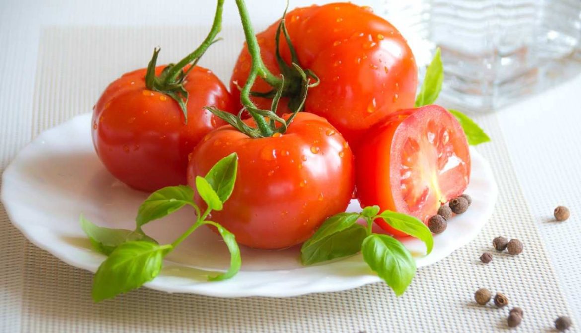 Buy All Kinds of cooked tomatoes At The Best Price