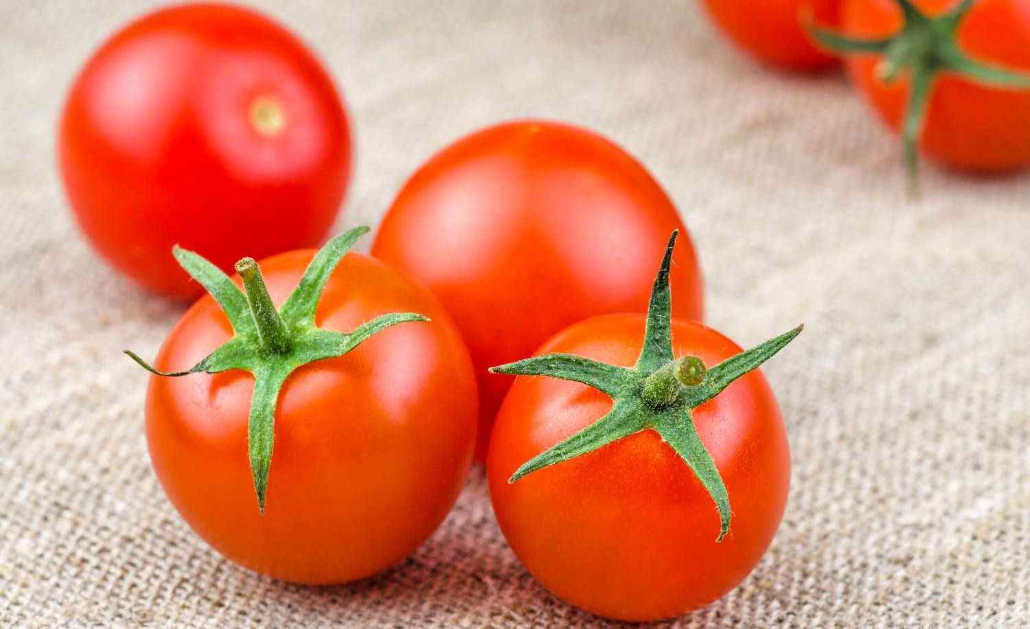  Buy All Kinds of cooked tomatoes At The Best Price 