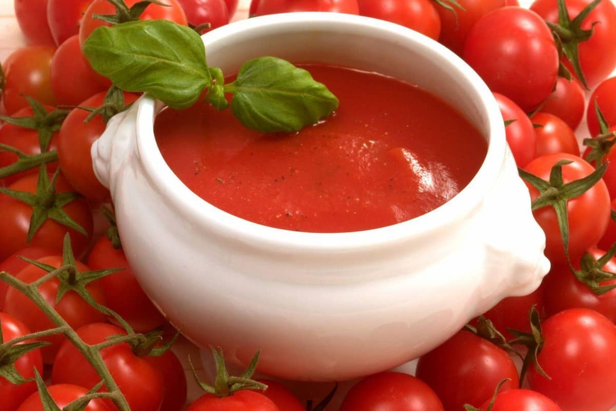  Introducing italian tomato paste + the best purchase price 