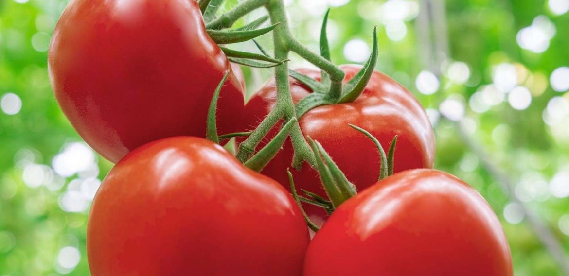 Tomato Nutrition Data and Health Benefits