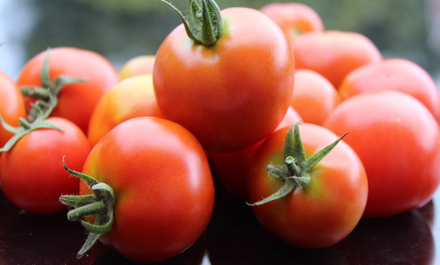  Tomato Nutrition Data and Health Benefits 