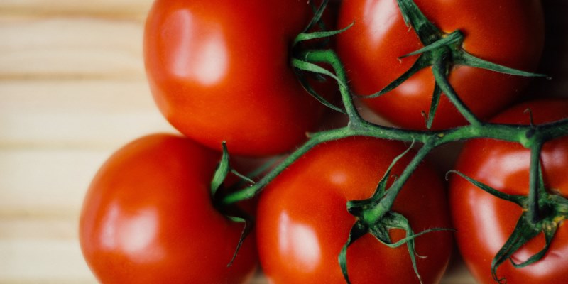  The Most Common Varieties of Tomatoes 