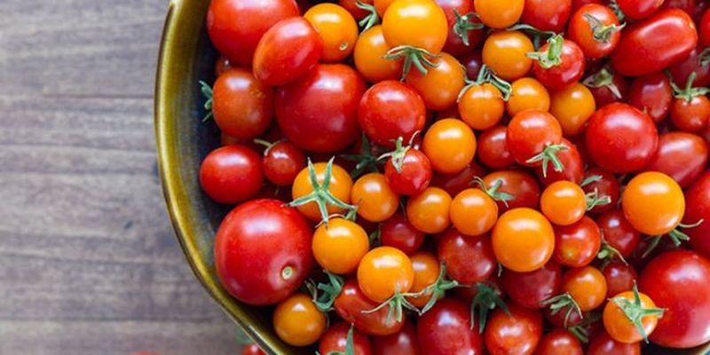  The Most Common Varieties of Tomatoes 