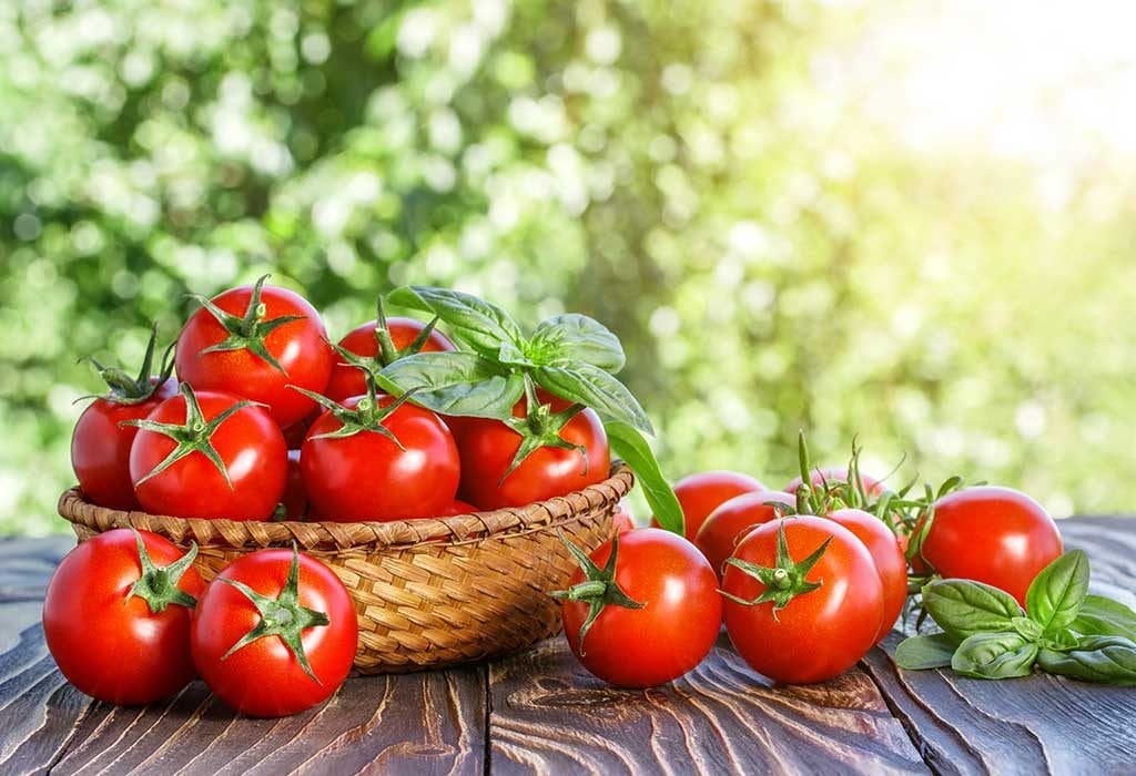  Pronunciation of Tomato or Tomatoe History 