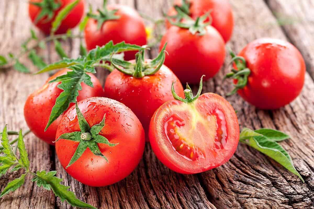  Which Is the Best Fresh Tomatos? + Complete Comparison | Great Price 