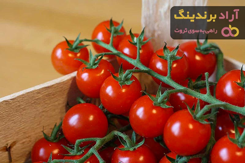  Cherry Tomato Plant Price 